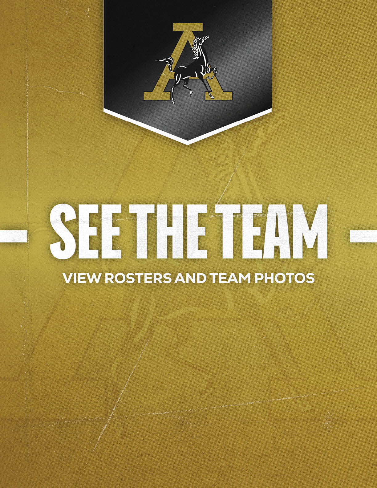 A gold and black graphic with a stylized letter A and a goat above bold white text that says see the team and smaller text below that reads view rosters and team photos. Description generated by AI