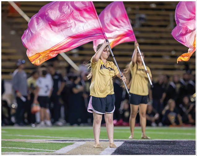 Two people wearing yellow shirts and black shorts are performing a flag routine on a sports field with a crowd in the background. Description generated by AI