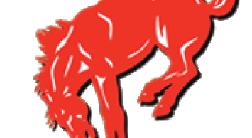 A stylized red horse is depicted in a dynamic pose with its head lowered and legs bent. Description generated by AI