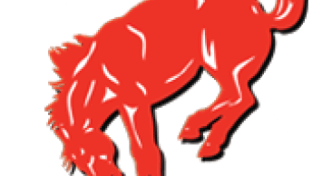 A stylized red horse is depicted in a dynamic, mid-air pose with its head lowered and legs bent. Description generated by AI