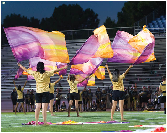 People wearing matching yellow shirts and black shorts are performing a coordinated flag routine with large purple and orange flags on a sports field at dusk. Description generated by AI