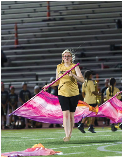 Adults in matching yellow shirts and black shorts perform a coordinated flag routine on a sports field with bleachers and spectators in the background. Description generated by AI