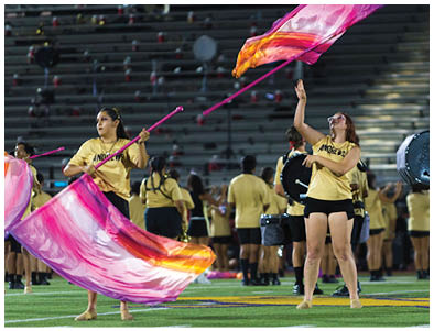 Adults in matching yellow shirts perform a coordinated flag routine on a field with a band playing in the background. Description generated by AI