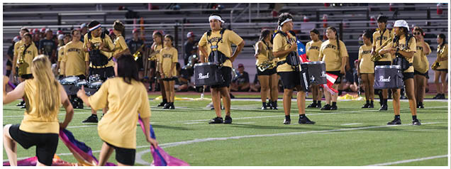 People wearing matching yellow shirts perform with flags and drums on a sports field during an event. Description generated by AI