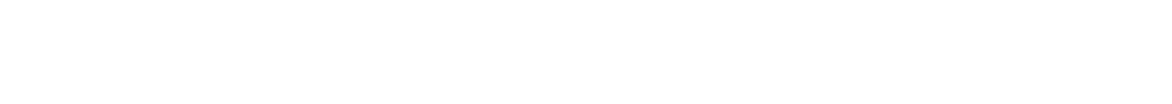 ANDREWS VS SNYDER