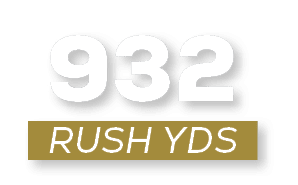 RUSH YDS,93