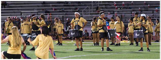 People wearing matching yellow shirts perform with flags and drums on a sports field during an event. Description generated by AI