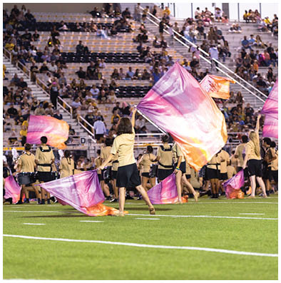 People in matching beige shirts and black shorts perform a coordinated flag routine on a football field with a crowd seated in the background. Description generated by AI