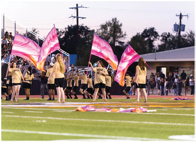 People in matching shirts and shorts perform a flag routine on a sports field with a crowd watching in the background during dusk. Description generated by AI