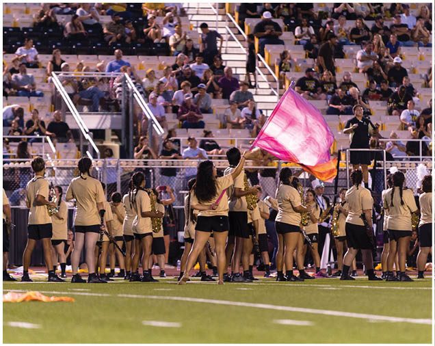 People in matching uniforms perform with musical instruments and a flag in front of a seated crowd in a stadium. Description generated by AI