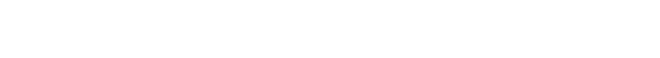ANDREWS VS SNYDER