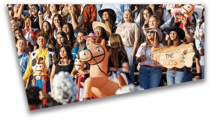 A group of people in colorful costumes and casual clothing are gathered outdoors, some holding hobby horses and one person holding a sign that says “THE TIGERS." Description generated by AI