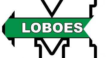 A green rectangular sign with the word “LOBOES" in white capital letters is overlaid on a black and white abstract geometric background. Description generated by AI
