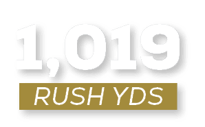 RUSH YDS,1,01