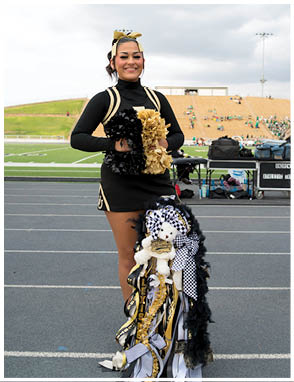 A group of adults in matching cheerleading uniforms perform a stunt on a sports field with one person elevated and raising an arm while others support them. Description generated by AI