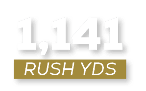 RUSH YDS,1,14
