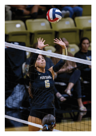 A person wearing a Mustangs volleyball uniform is preparing to set a volleyball above the net in an indoor gymnasium. Description generated by AI