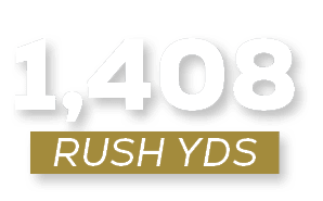 RUSH YDS,1,14