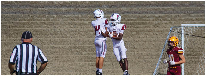 A football player wearing a blue and white uniform. Description generated by AI