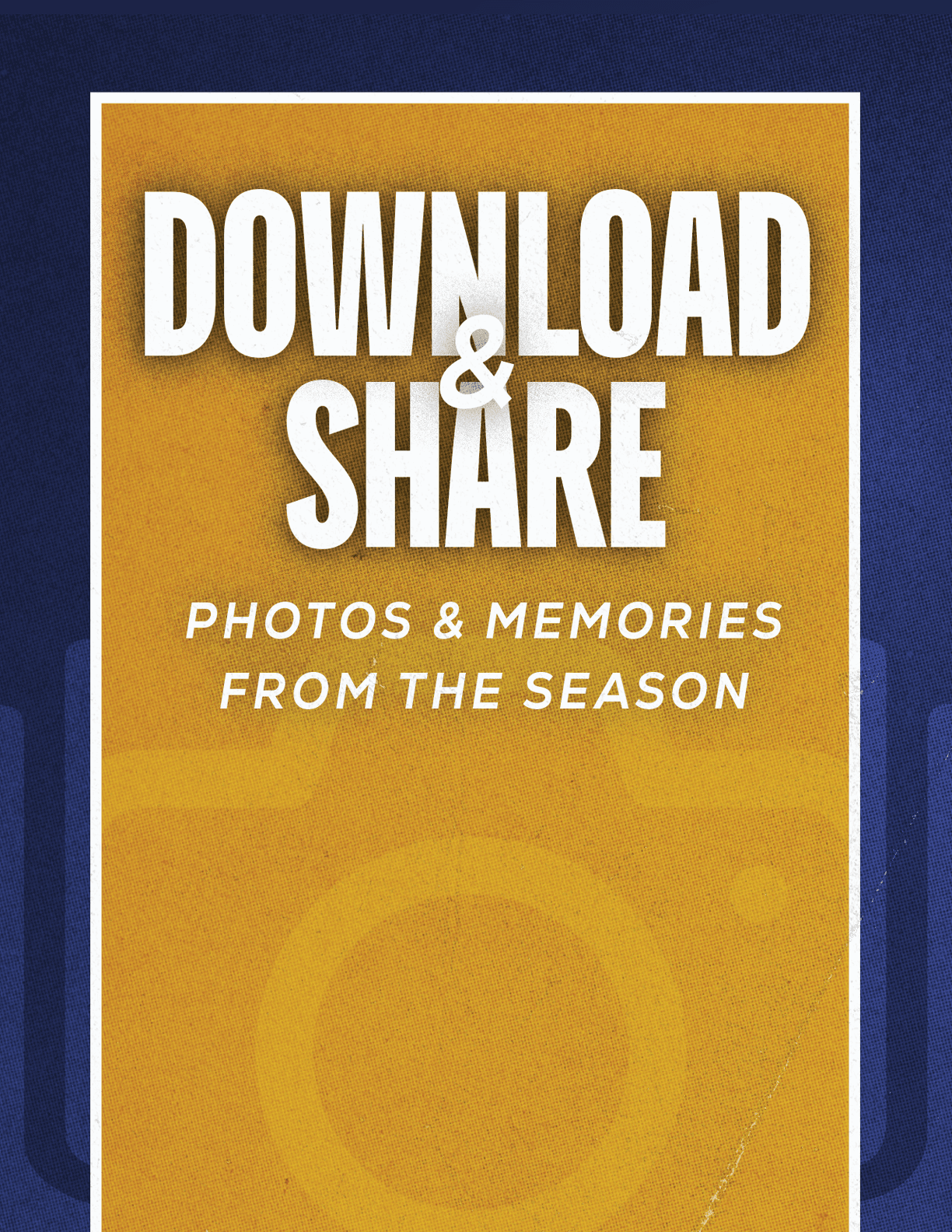 A red and blue poster with a camera on it. Description generated by AI