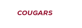 $$$/StateType/Normal