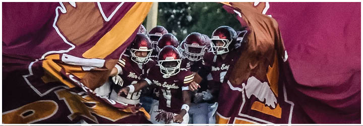 A group of football players on a field. Description generated by AI