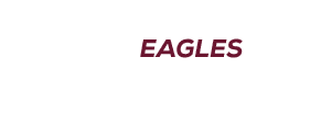 $$$/StateType/Normal