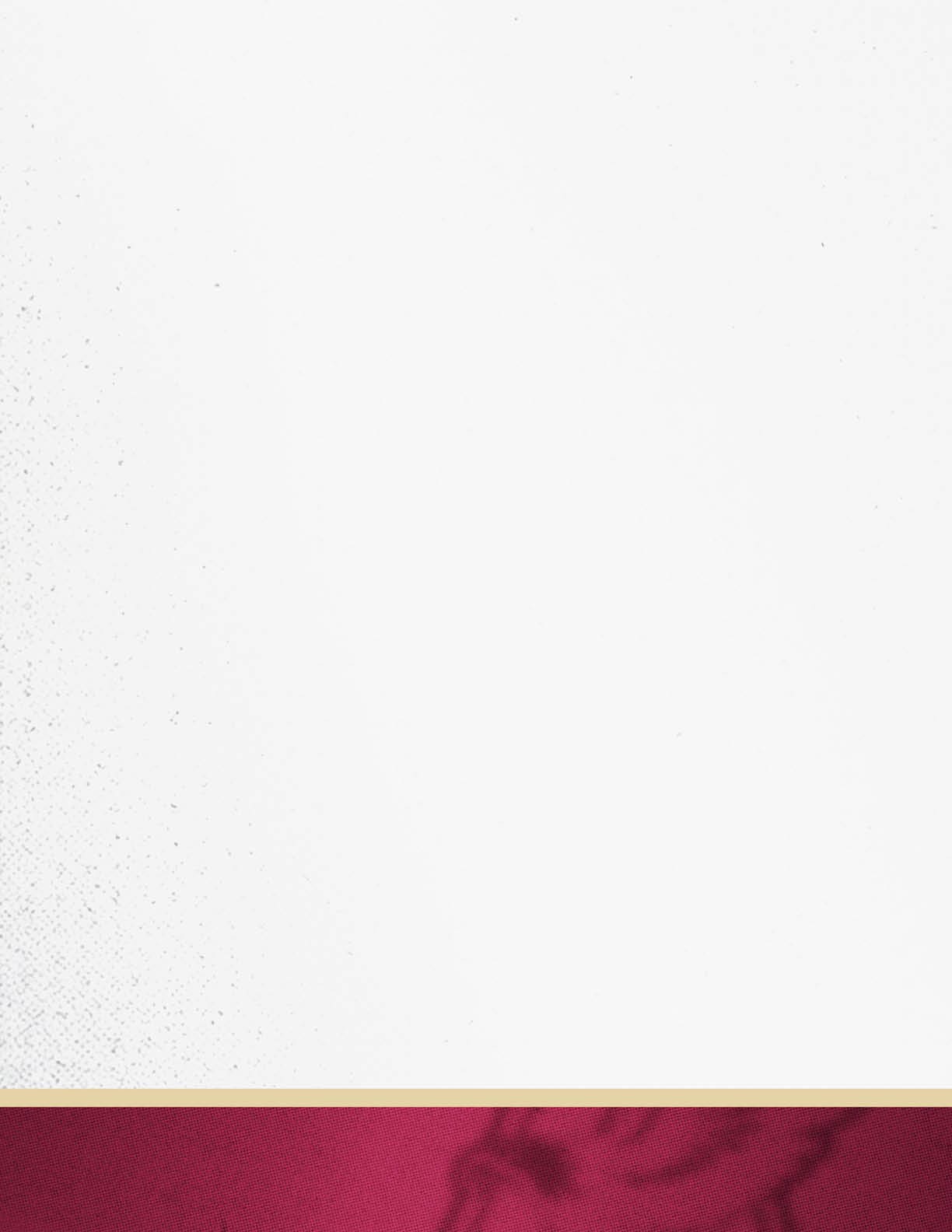 A white background with a textured pattern on the left side and a horizontal maroon and gold border at the bottom. Description generated by AI