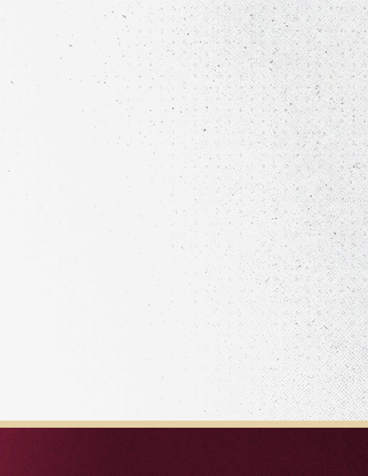 A textured white background with a thin gold line above a solid maroon band at the bottom. Description generated by AI