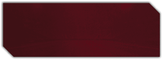 A red background with a white line. Description generated by AI