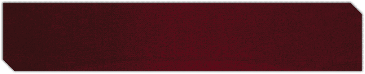 A red background with a brick pattern. Description generated by AI