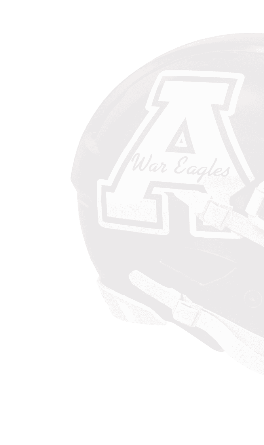 A football helmet with the letters A and E on it. Description generated by AI