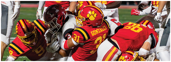 A group of football players on a field. Description generated by AI