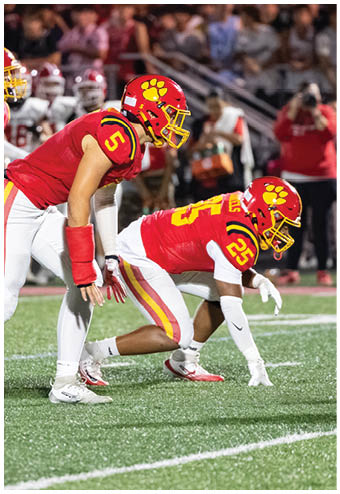 A group of football players celebrating a touchdown. Description generated by AI