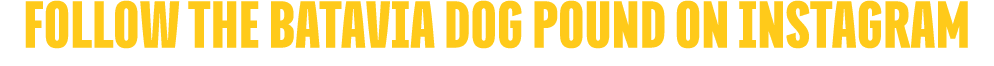 FOLLOW THE BATAVIA DOG POUND ON INSTAGRAM
