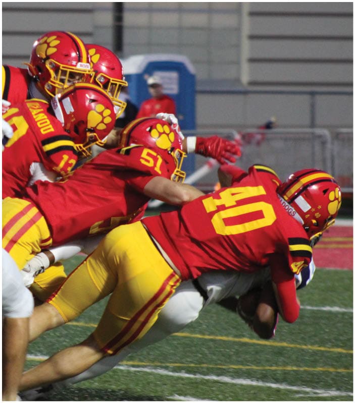 A group of football players on a field. Description generated by AI