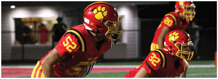 A group of football players on a field. Description generated by AI