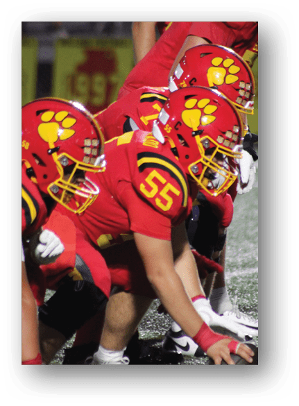 A group of football players celebrating a touchdown. Description generated by AI