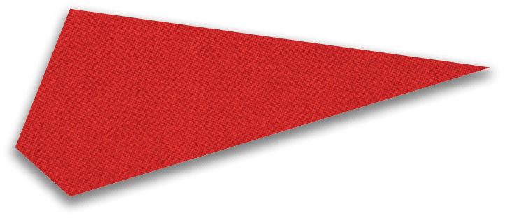 A red irregular quadrilateral shape with a textured surface and sharp angled edges. Description generated by AI