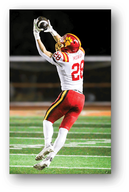 A football player catching a ball. Description generated by AI