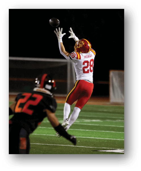 A football player catching a ball. Description generated by AI