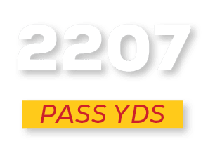 pass YDS,220