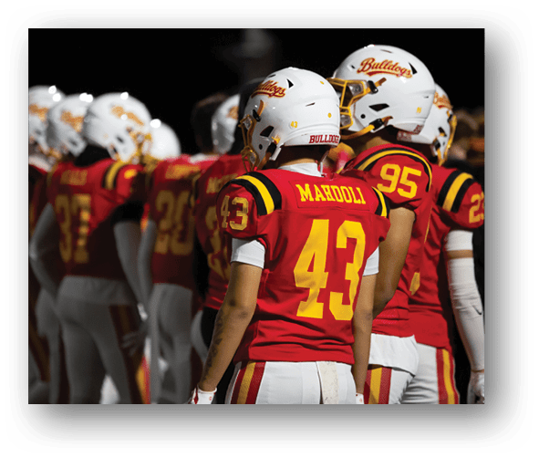 A group of football players celebrating a touchdown. Description generated by AI