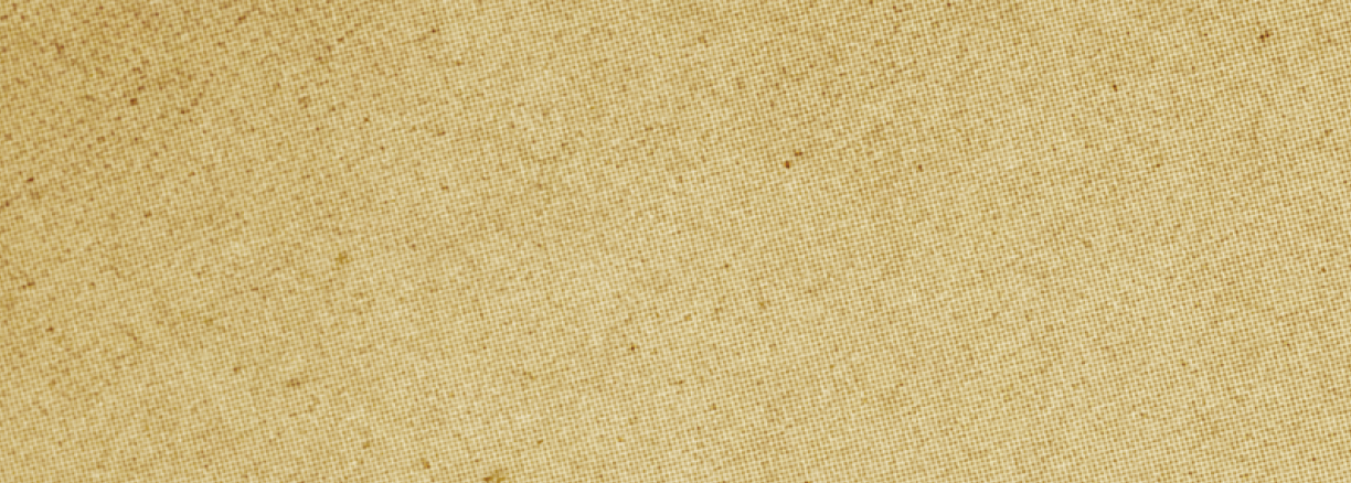 A tan colored wallpaper with a rough texture. Description generated by AI