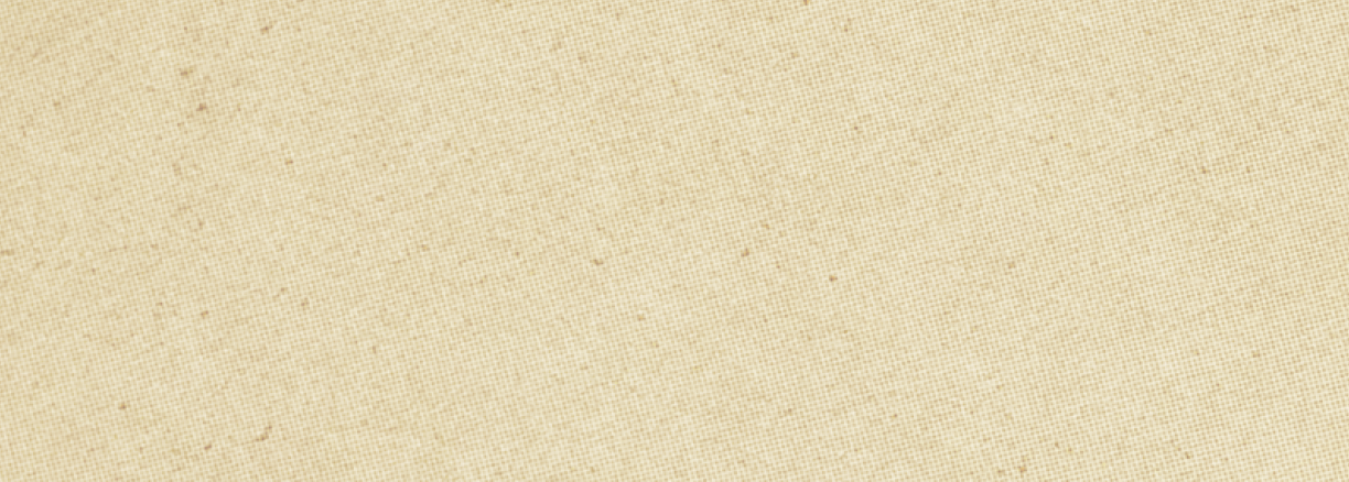 A tan colored wallpaper with a rough texture. Description generated by AI