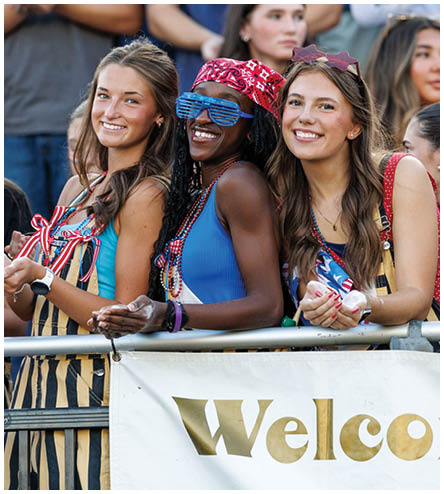 A group of people are sitting in the stands at a sporting event. Description generated by AI