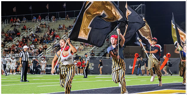 A group of people holding flags on a field. Description generated by AI