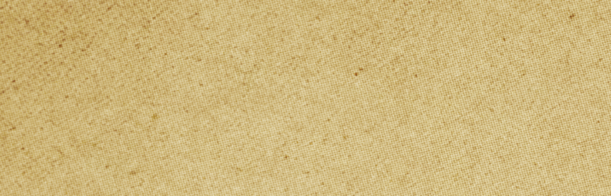 A tan colored wallpaper with a rough texture. Description generated by AI
