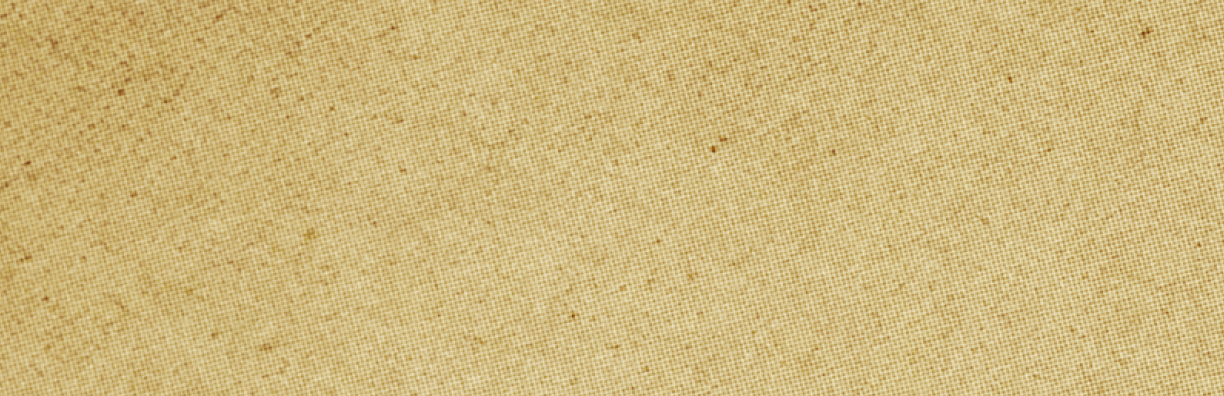 A tan colored wallpaper with a pattern. Description generated by AI