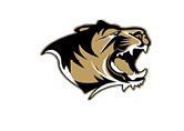 A tiger's head with its mouth open. Description generated by AI